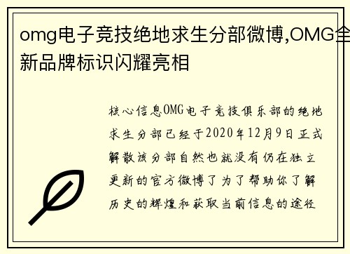 omg电子竞技绝地求生分部微博,OMG全新品牌标识闪耀亮相